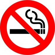 Image for CAR DECALS