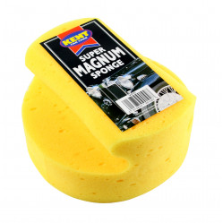 Category image for SPONGES