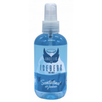 Image for Angelic Air Iceberg  For Men  Air Freshener 200 ml Pump Spray