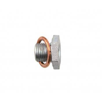 Image for Peugeot 93 Onwards Sump Plug & Washer